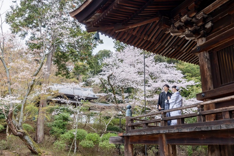 本堂からの眺めは見事です