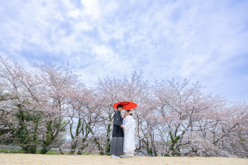 青空と桜と新郎新婦様・・・