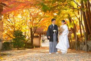 秋　西教寺撮影