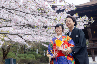 引き振袖に身をまとい桜撮影