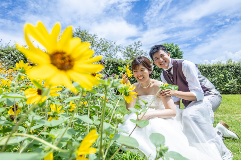 夏！！ヒマワリと撮影