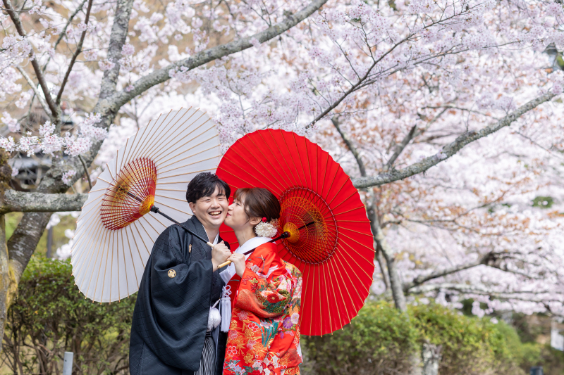 桜撮影　三井寺で前撮りです