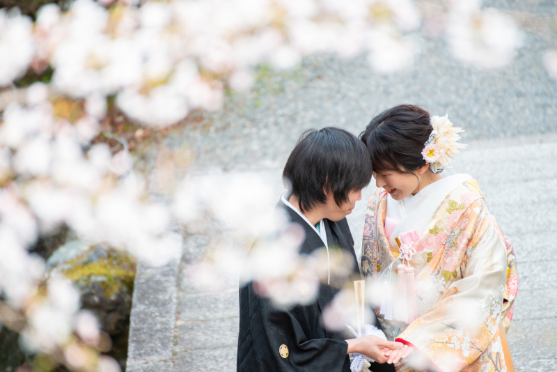 桜の名所三井寺撮影