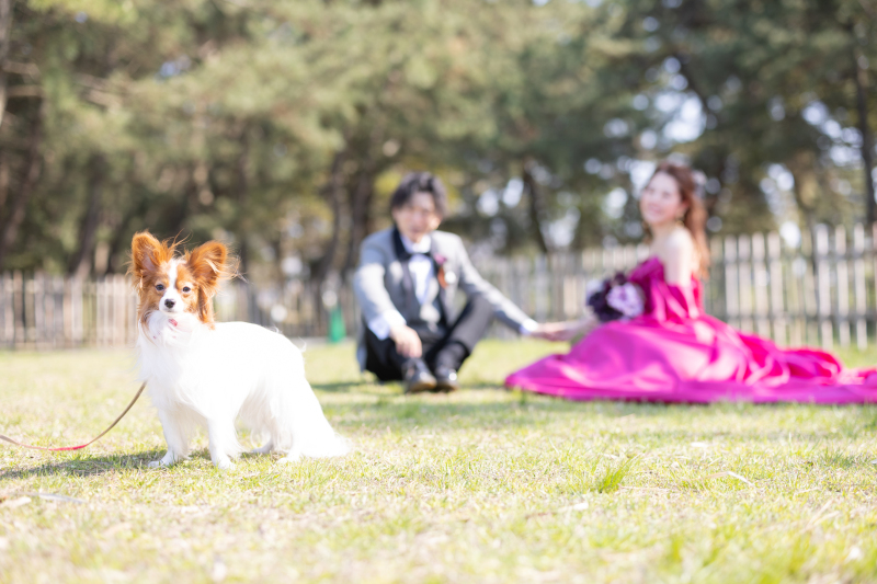 いつも通りのスリーショットで和やかに