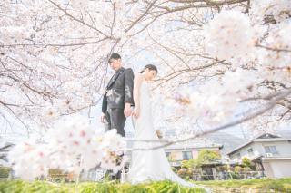 春を満喫　琵琶湖でロケーションフォト