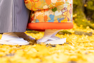 秋の西教寺で前撮り