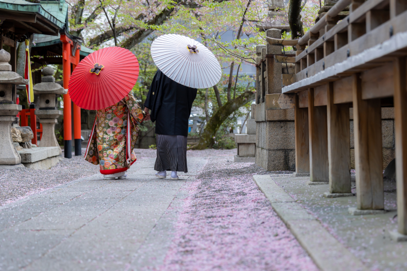 桜の絨毯が広がる参道・・・