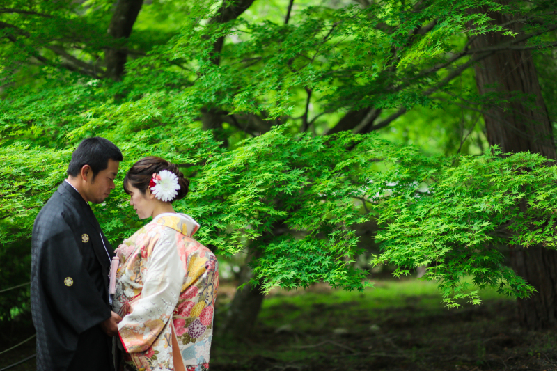 春の三井寺で撮影