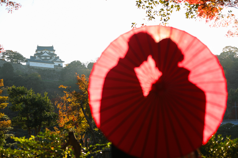 彦根城をバックにお二人のシルエットがロマンチック