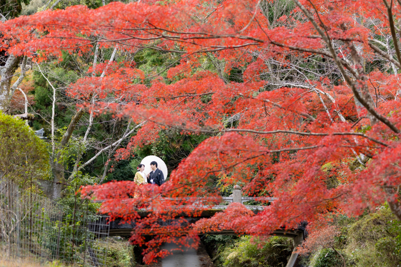 真っ赤なモミジに囲まれて・・・
