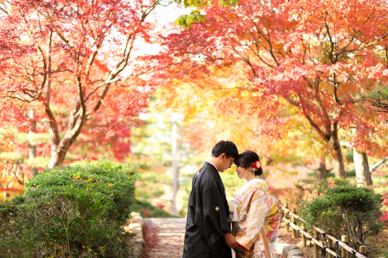 びわこ文化公園の紅葉のトンネルです