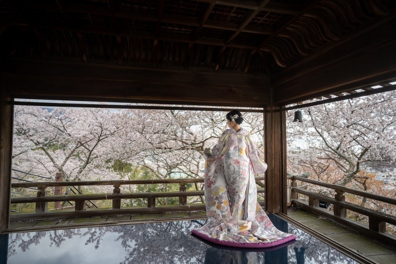 薄紫色の色打掛が桜の舞台にぴったりでした～