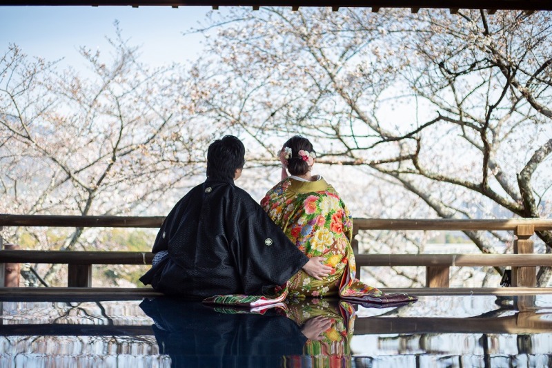 観月舞台にて桜と撮影