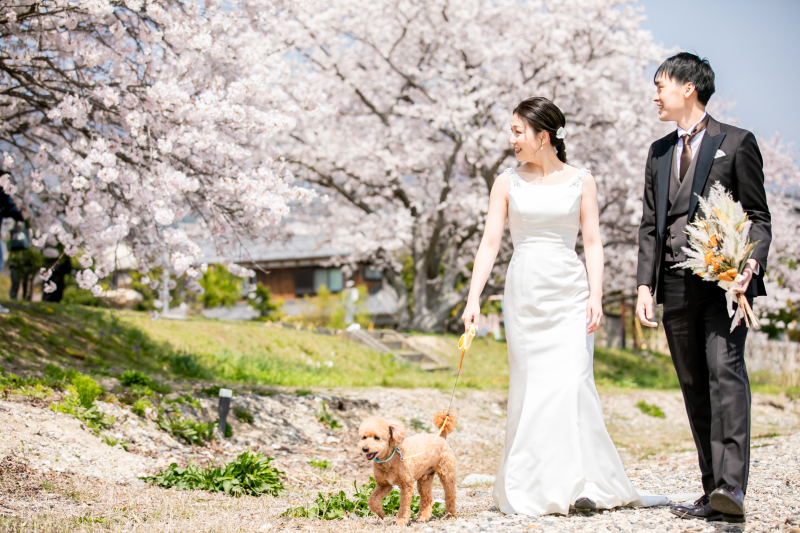 ペットと一緒に撮影しました