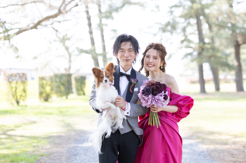 ワンちゃんのレディーちゃんです♪