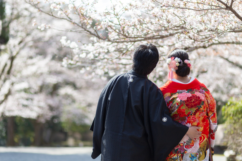桜に合わされた髪飾りがとても豪華です
