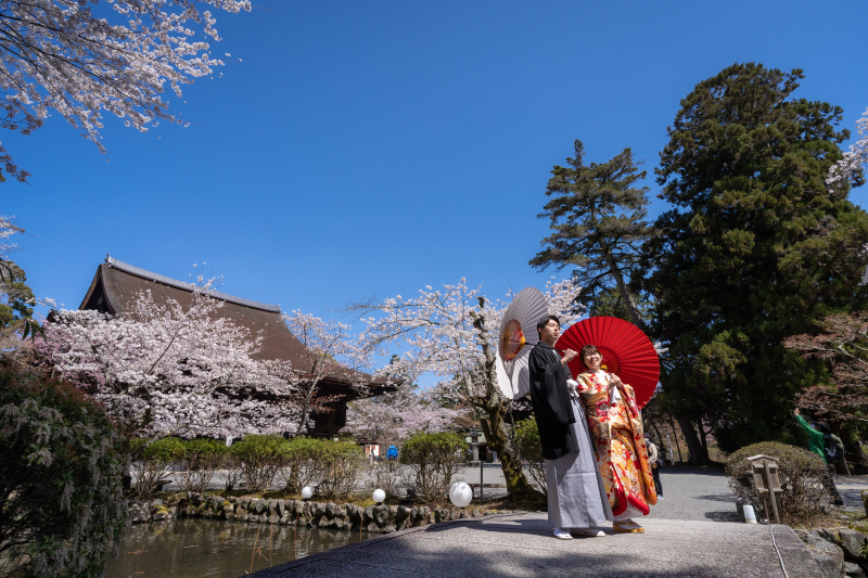 三井寺の総本堂と桜と青空と撮影