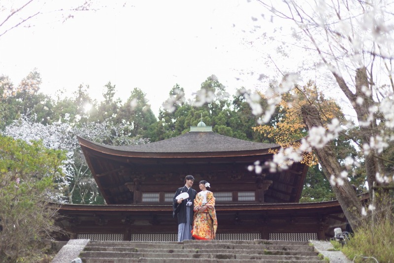 三井寺お堂を背景に