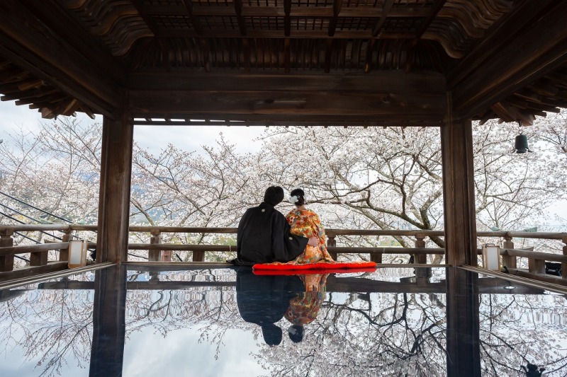 満開の桜と観月舞台