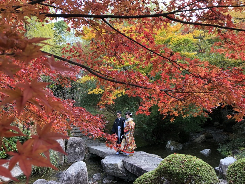 もみじの中で撮影