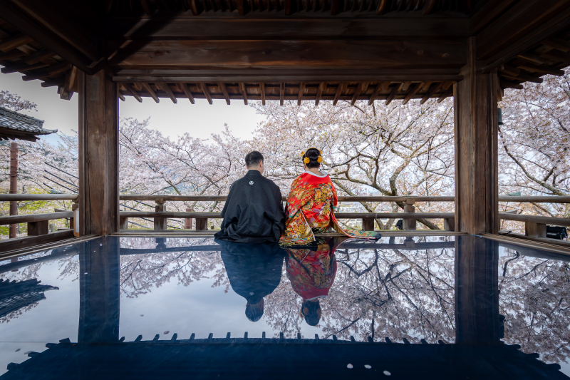 色打掛に羽織替えをされ観月舞台で撮影