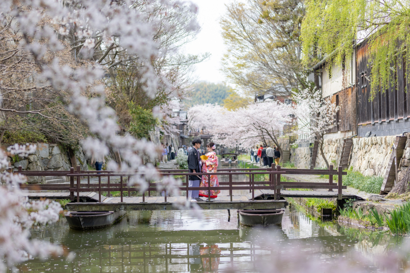 風情が溢れる中で絵画のシーンのようです