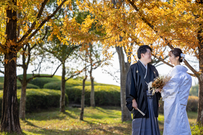 木々が小金色に変わりはじめていました