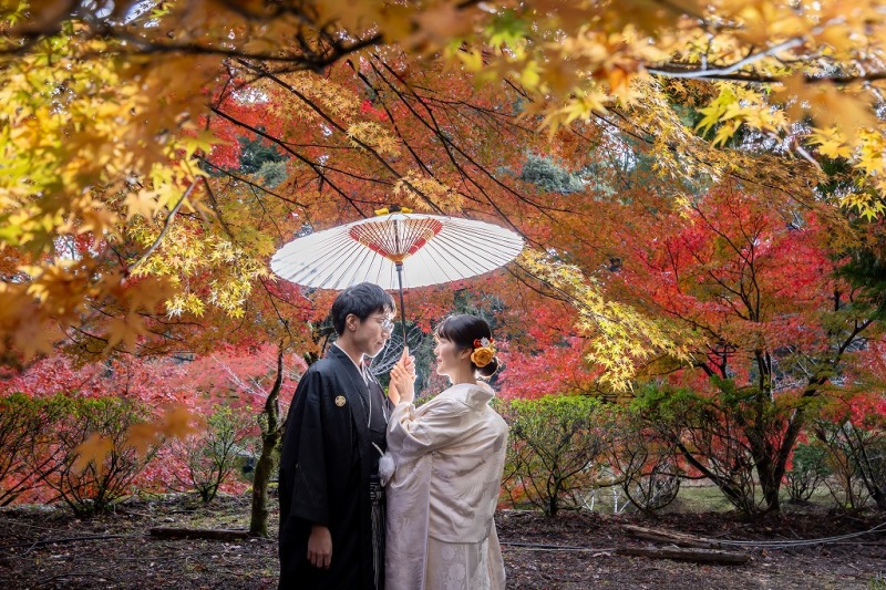 雨上がりの空気が澄んだ紅葉風景