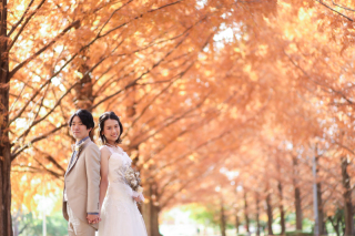 メタセコイヤの並木と琵琶湖で撮影