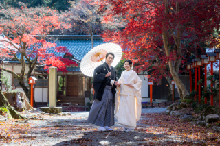 秋の日吉大社撮影