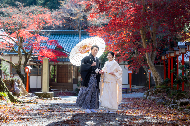 秋の日吉大社撮影