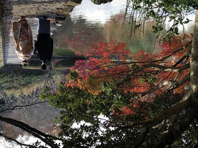 日本庭園を‥絵になるお姿です