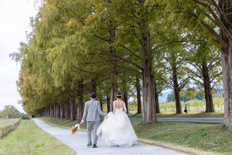 お二人の好きな場所メタセコイヤ並木で・・・