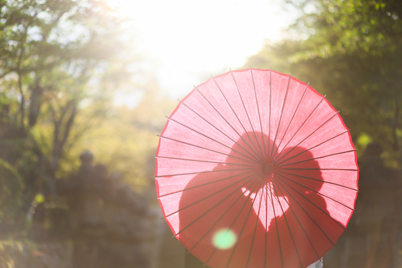 夕日を浴びてロマンチックに撮影
