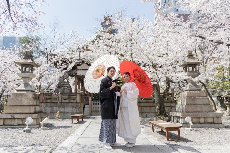 舞殿をバックに桜と撮影