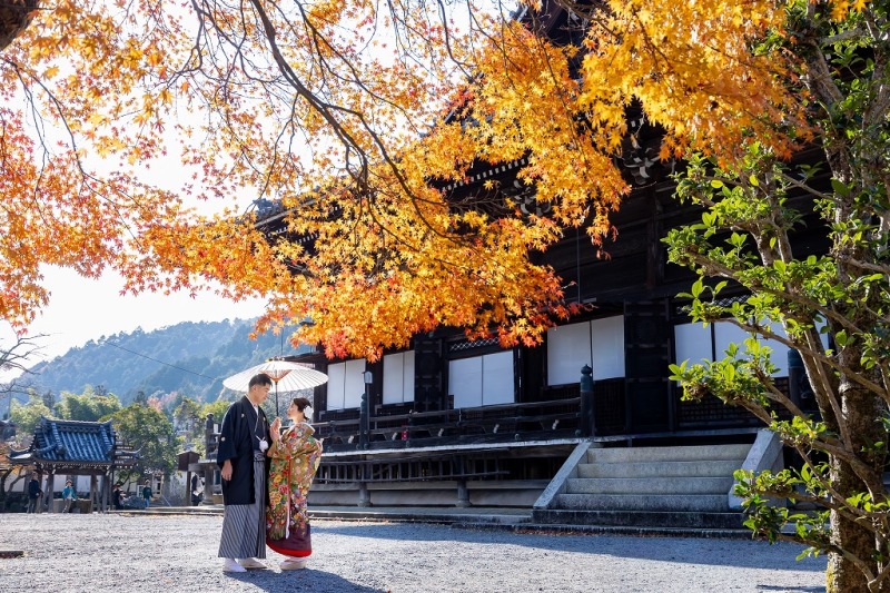 秋の西教寺撮影