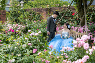 バラが見頃　びわ湖大津館フォト