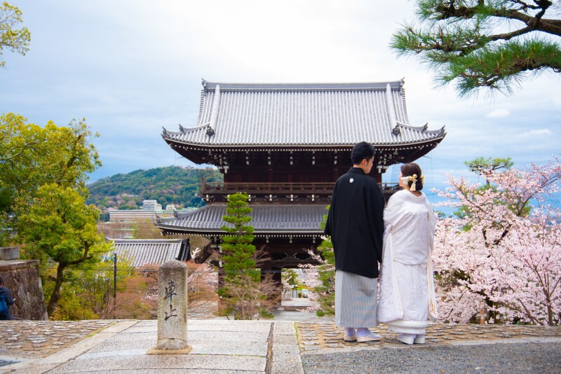 春の金戒光明寺で撮影です