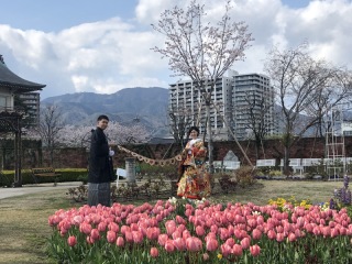 びわ湖大津館にてチューリップの中で撮影