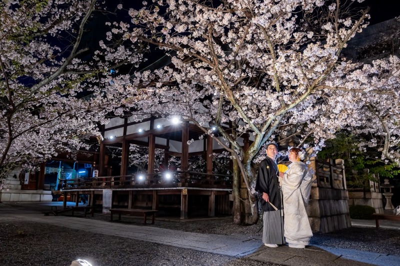 桜の名所『天孫神社』で夜桜撮影
