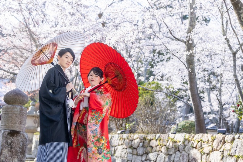 色打掛に羽織替えて桜と撮影