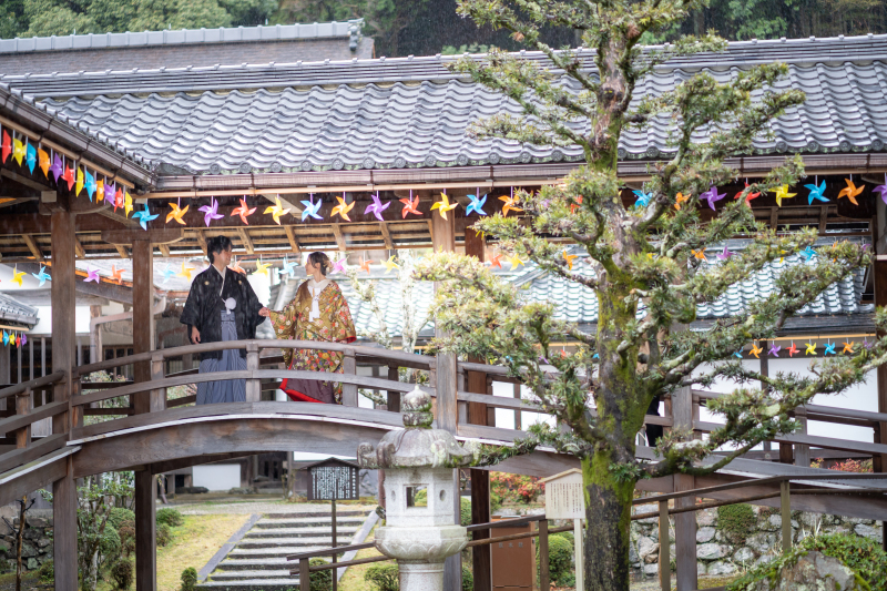 境内に装飾された風ぐるまと撮影