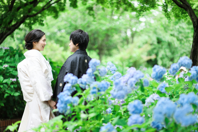 アジサイに囲まれ撮影