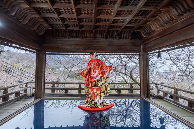 凛とした色打掛で撮影