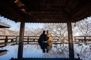 春の三井寺撮影