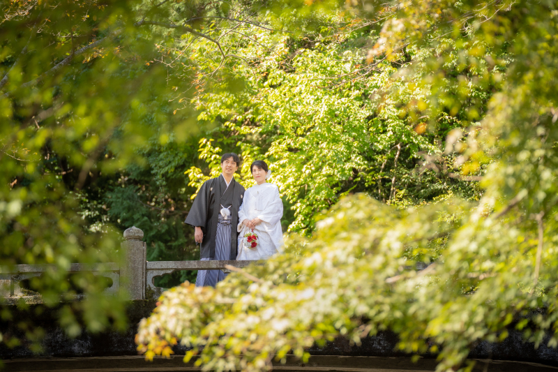 新緑に囲まれて・・・