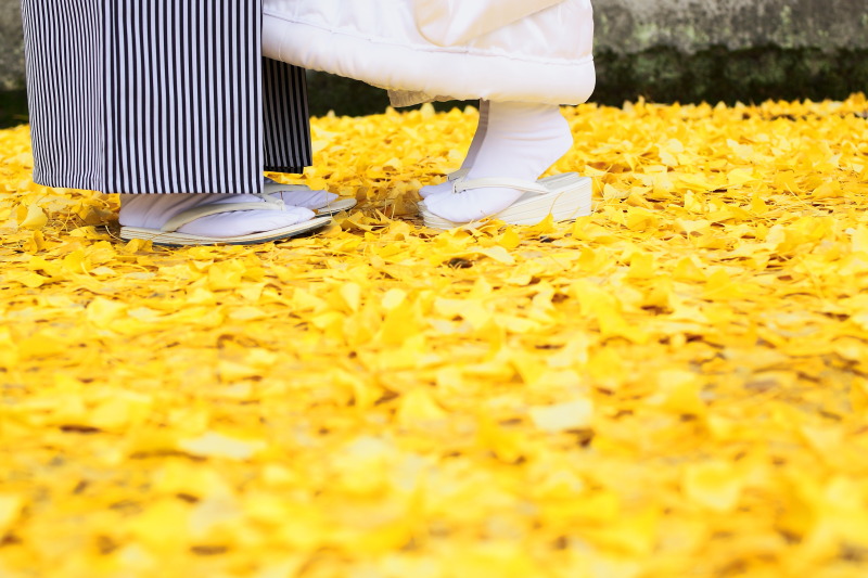 随心院の周りはイチョウのじゅうたん