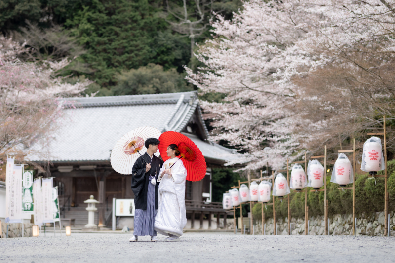 満開の桜をバックに撮影です