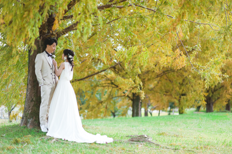 メタセコイアの木の下で…