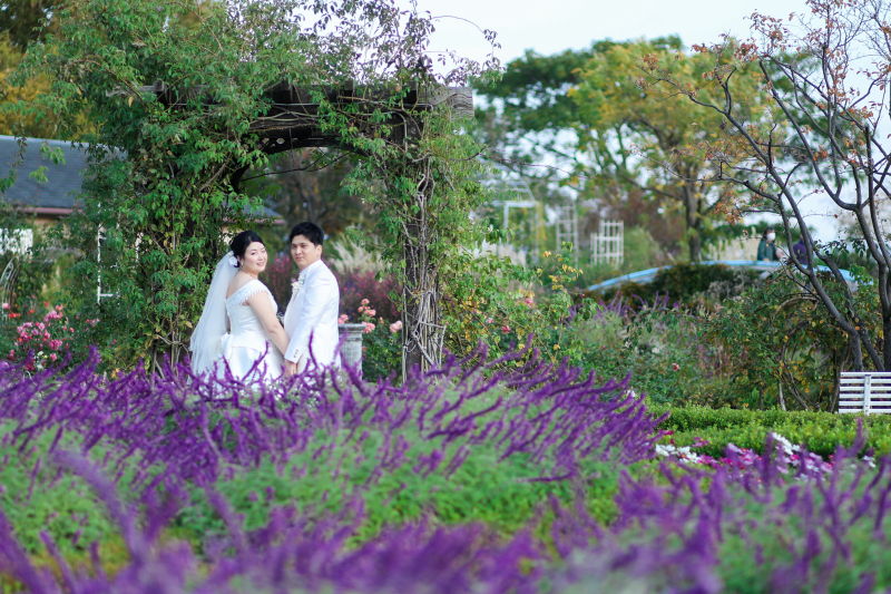 ノットガーデンで撮影しました